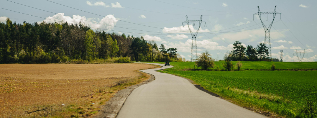 A road in spring